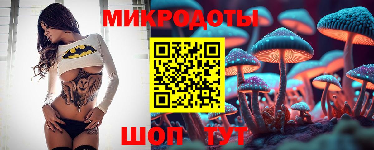 Галлюциногенные грибы Cubensis  Псилоцибиновые грибы Cubensis  Углич  Вход с VPN 